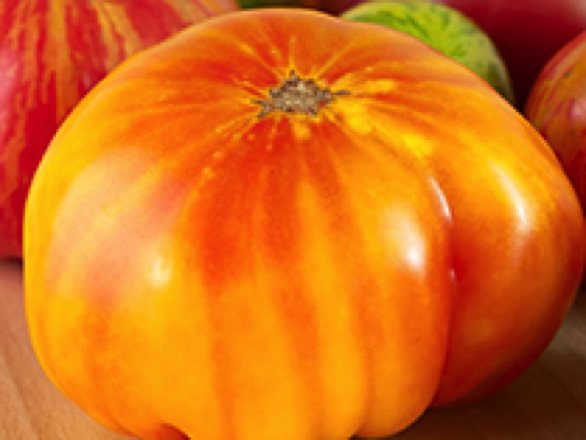 Hillbilly heirloom tomato