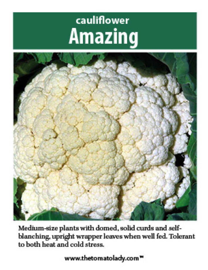 amazing cauliflower